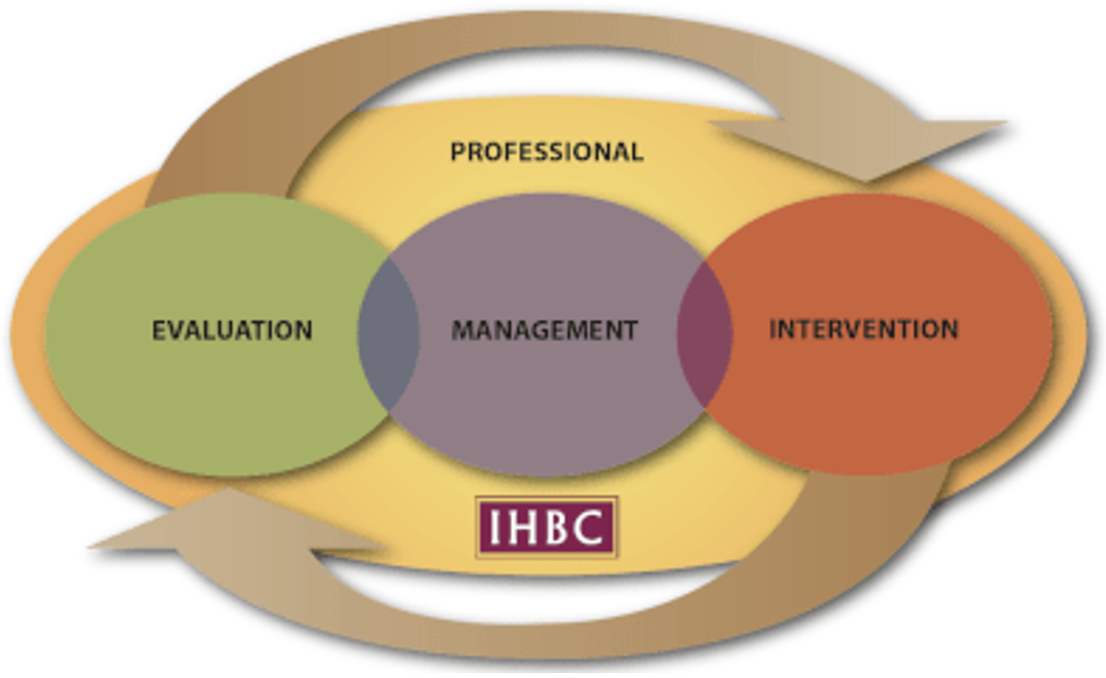 IHBC Competences graphic