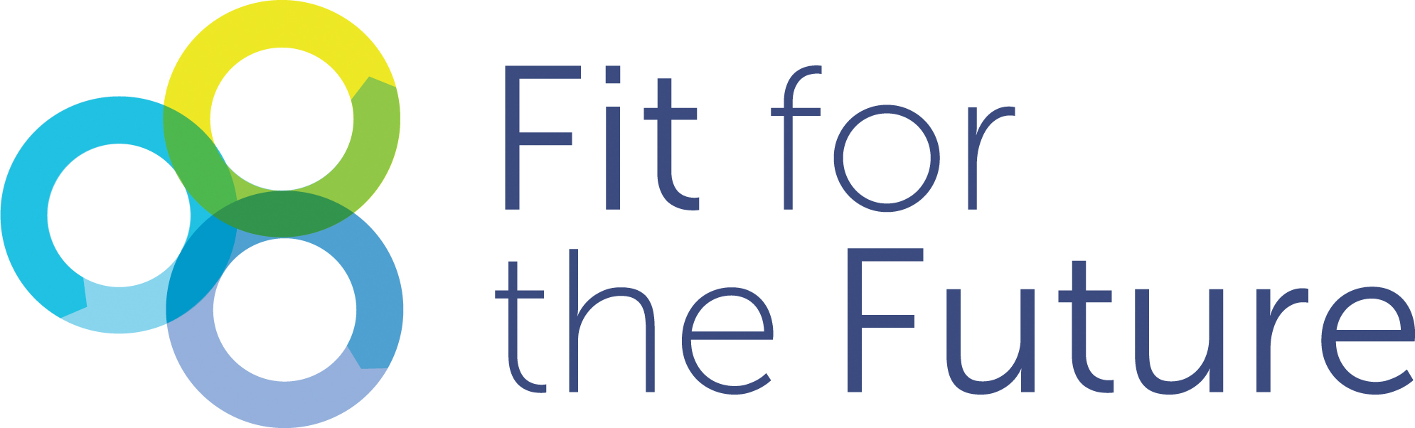 Fit for the Future logo